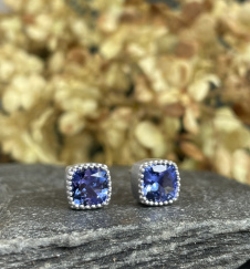 tanz_studs