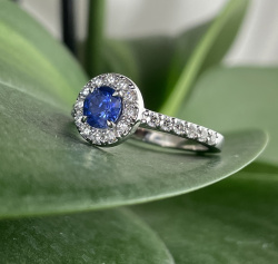 single_halo_sapphire