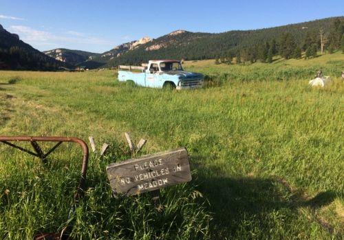 Old blue farm truck in an open field with mountains in the background