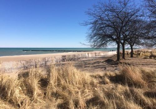 Photo of Chicago Beach in the Winter